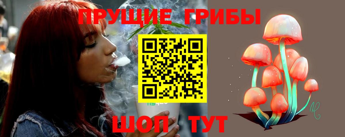 Псилоцибиновые грибы мухоморы Нижнекамск